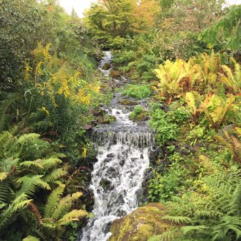Royal Botanic Garden Edinburgh - waterfall - Botanical Gardens Near Me - Edinburgh, EDH Royal Botanic Garden Edinburgh - waterfall - Botanical Gardens Near Me - Edinburgh, EDH