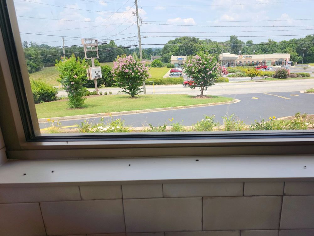 WENDY’S Updated October 2024 12 Reviews 921 Franklin Springs