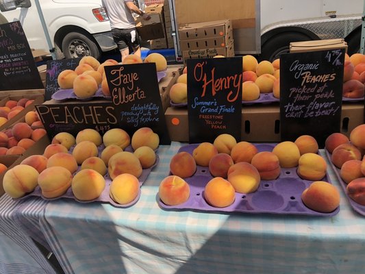 Downtown Berkeley Farmers' Market by null