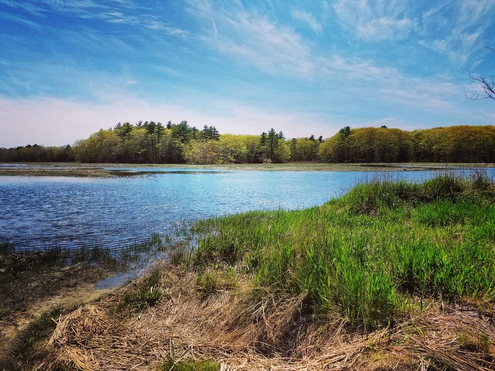 WILD DUCK CAMPGROUND & RV PARK 61 Photos & 20 Reviews Campgrounds