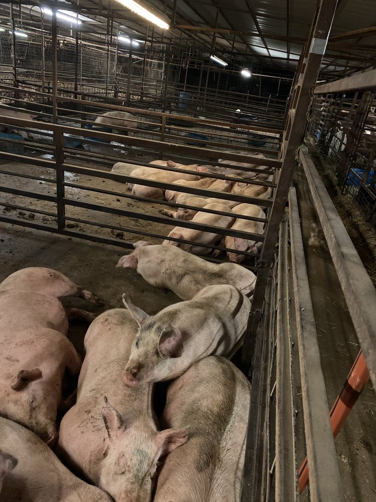 HAYES FARM Updated September 2024 15 Reviews 7580 Lawson