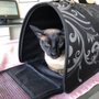 Photo of Cherry Valley Veterinary Hospital