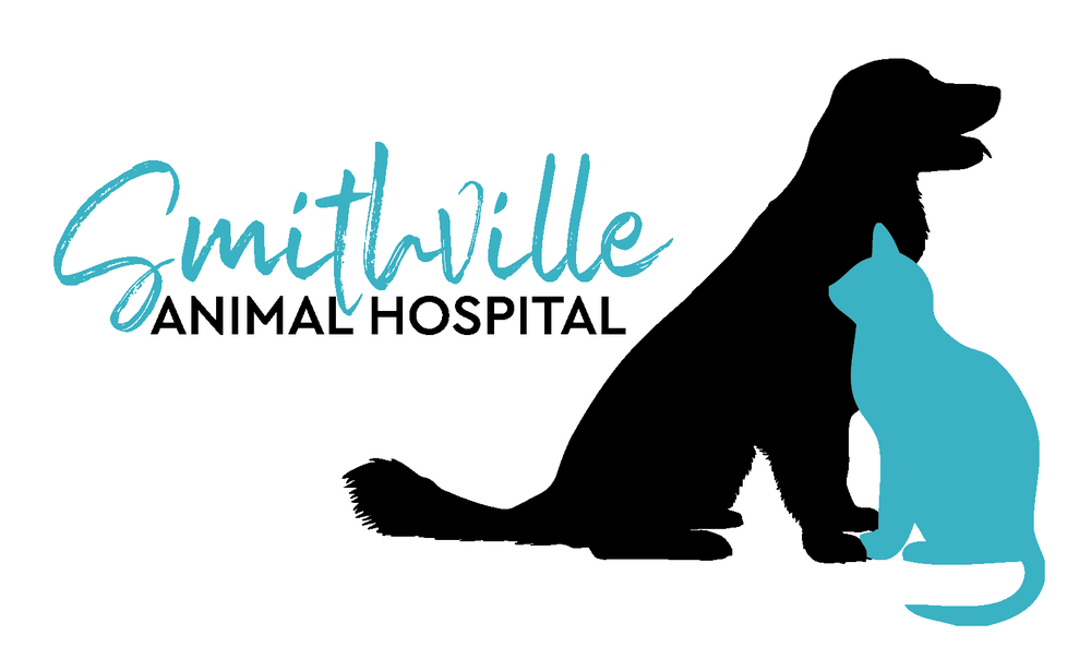 SMITHVILLE ANIMAL HOSPITAL Updated July 2024 1514 S US Hwy 169