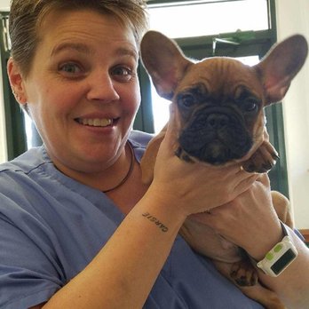 midlands veterinary clinic