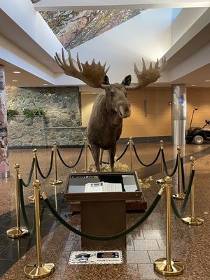 Ted Stevens Anchorage International Airport by null