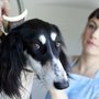 Photo of Muttley Crue Organics