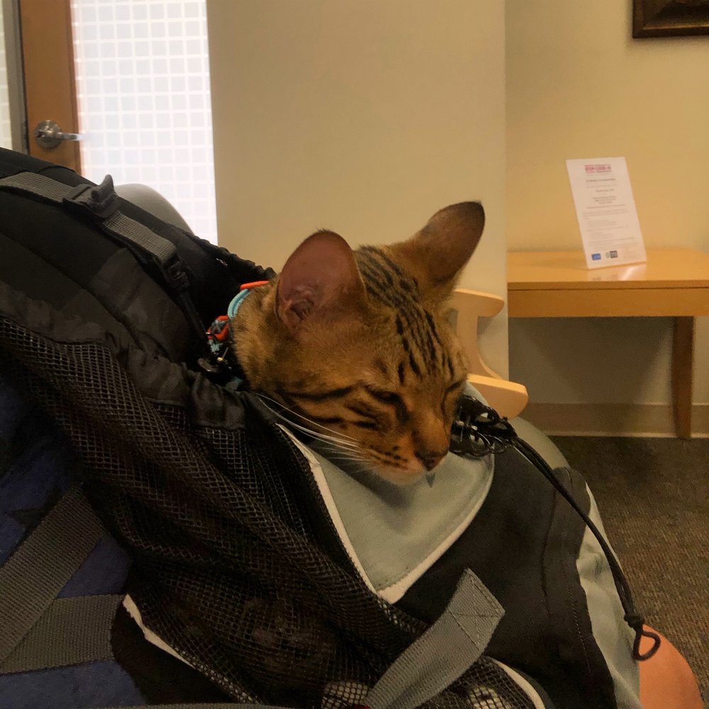 RIVERSIDE DENTAL GROUP AT WOODCREST 27 Reviews 19009 Van Buren Blvd