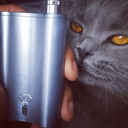 Vape Emporium - Colour code vape mods and pets with Vapor Flask! Carol the cat thinks the Grey Vapor Flask goes very well with her grey coat!