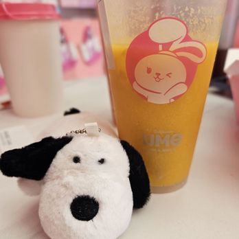 Ume Tea - Bubble Tea Near Me - Milpitas, California Ume Tea - Bubble Tea Near Me - Milpitas, California