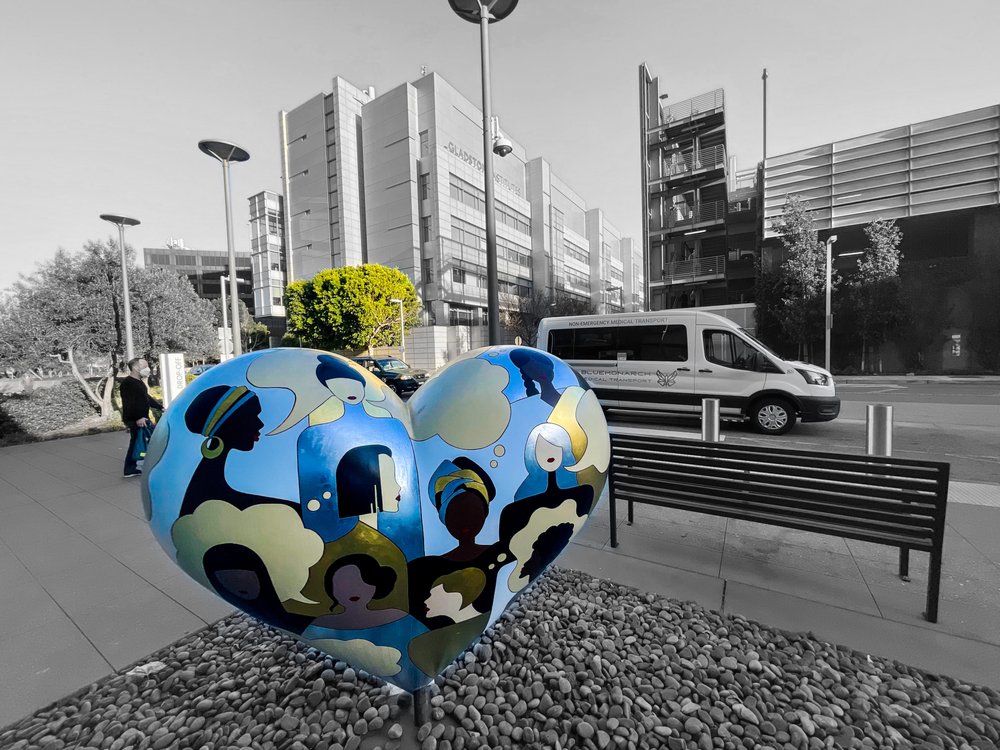 BLUE MONARCH MEDICAL TRANSPORT Updated September 2024 17 Photos