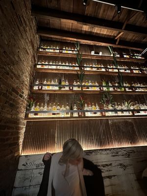 El Tacuba by null