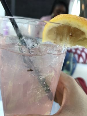 77 Degrees by null
