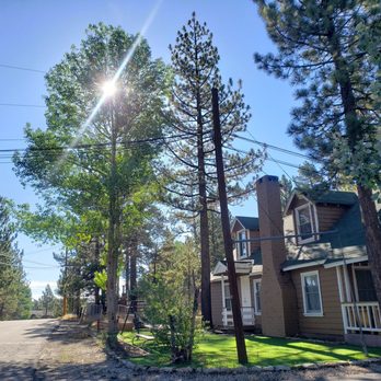 Grey Squirrel Resort & Vacation Rental Homes - Grounds and one of the cabins on site. - Big Bear Lake, CA