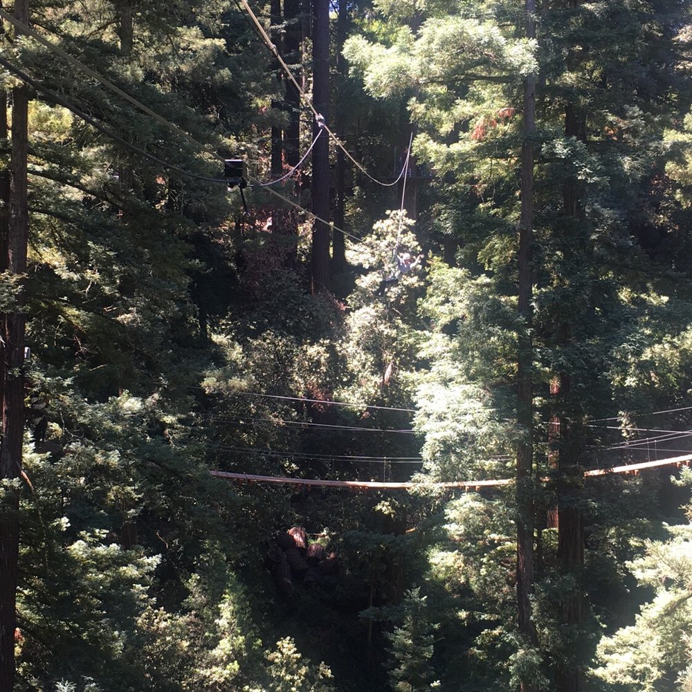 Mount Hermon Adventures - Challenge Courses Near Me - Mount Hermon, California Mount Hermon Adventures - Challenge Courses Near Me - Mount Hermon, California