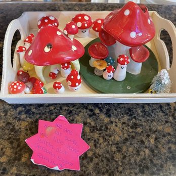 The Shroom Room - Cute little shroom display - not for sale - Coffee & Tea Near Me - Payson, Arizona