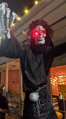 Vida Cantina by null