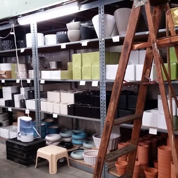 Pac 8 Orchids - Pots and planters - Florists Near Me - Los Angeles, California Pac 8 Orchids - Pots and planters - Florists Near Me - Los Angeles, California
