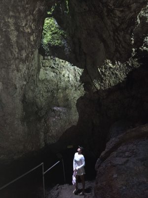 Hana Lava Tube by null