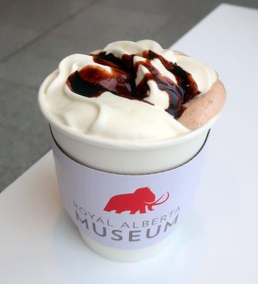 Royal Alberta Museum by null