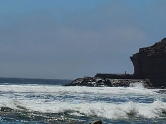 Four Mile Beach by null