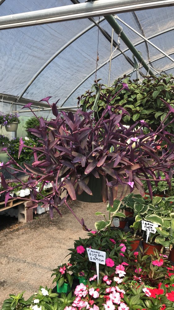 BJ PLANT AND PRODUCE Updated September 2024 47 Market Plaza East