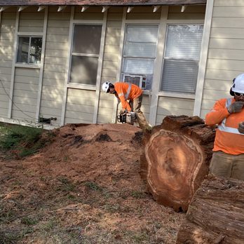 Jose's Tree Service - Stump - Tree Services Near Me - Placerville, California