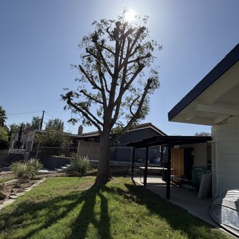 L&P Tree Service - Landscaping Near Me L&P Tree Service - Landscaping Near Me