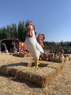 Larry's Produce by null