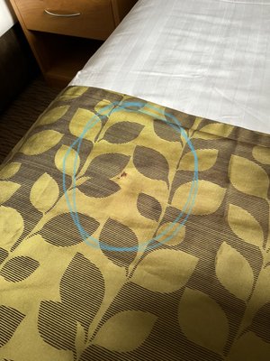 The Inn At Dromoland by null