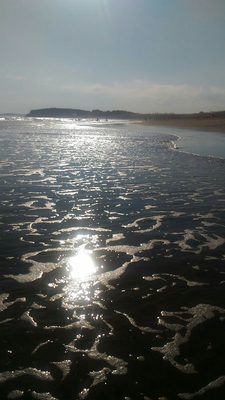 Lawrencetown Beach Provincial Park by null