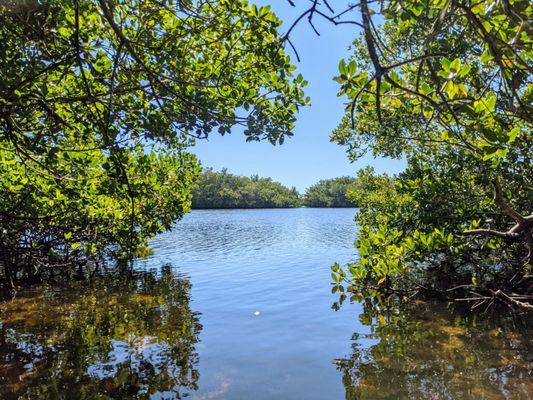 J.N. "Ding" Darling National Wildlife Refuge Visitor and Education Center by null
