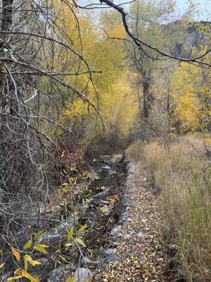 Duke's Slickrock Grill by null