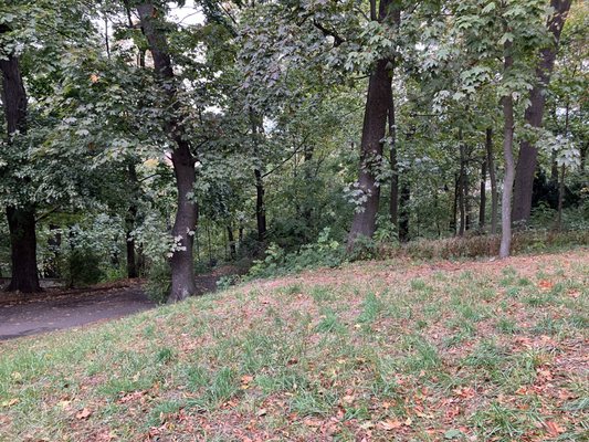 Petřín Gardens by null