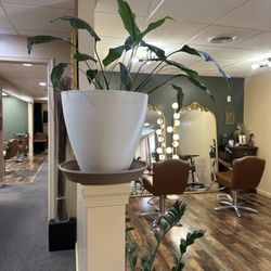 Salon Essence
