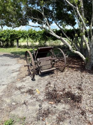 A Secret Garden Winery by null