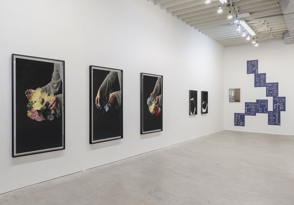 Susan Hobbs Gallery by null