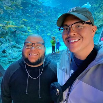 Seattle Aquarium - Aquariums Near Me - Seattle, Washington