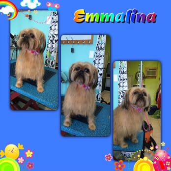 Tranquil Paws - Pet Groomers Near Me - Weymouth, Massachusetts Tranquil Paws - Pet Groomers Near Me - Weymouth, Massachusetts