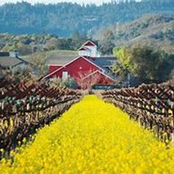 A Partner In Caring - In Home care in the beautiful Napa Valley