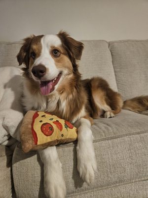 Taproom Pizza Co. by null