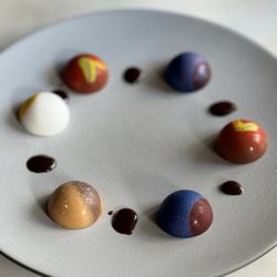 Blackbird - Chocolate Bon Bon