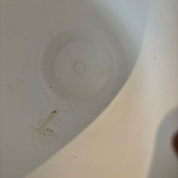 Skaneateles Inn on 20 - Inside of ice bin - Hotels Near Me - Auburn, New York