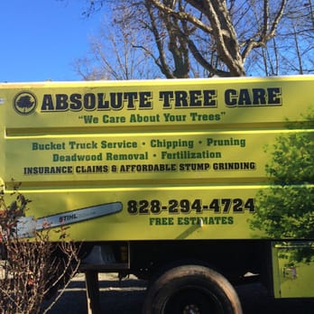 Absolute Tree Care - a truck parked in front of a tree - Tree Services Near Me - Vale, North Carolina Absolute Tree Care - a truck parked in front of a tree - Tree Services Near Me - Vale, North Carolina