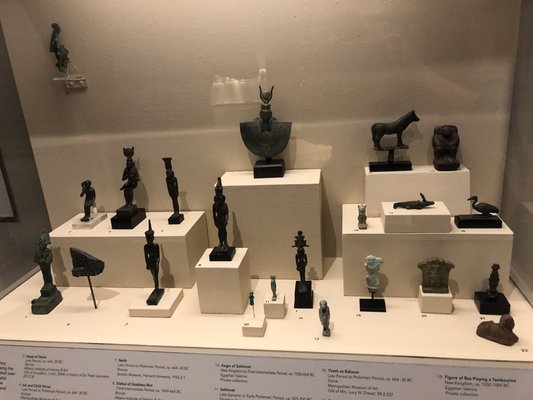 Albany Institute of History & Art by null