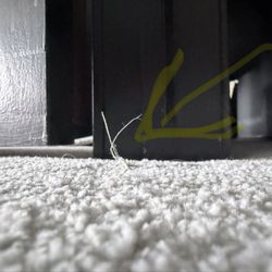 Exploring Flooring - Carpet backing sticking up through uneven seam at carpet joining point