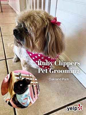 ruby clippers pet grooming