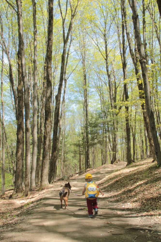 HIKING TRAILS MOUNT OAK NETWORK Updated April 2024 Municipal