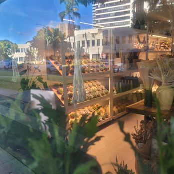 Mari’s Urban Garden - #Grateful thanks for being a part of my community aloha amazing Green Thumb - Nurseries & Gardening Near Me - Honolulu, Hawaii