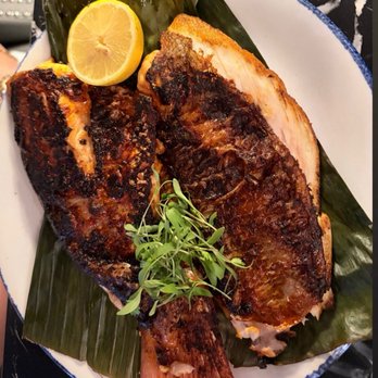 Cantina Leon - Mexican Near Me - Coral Gables, Florida
