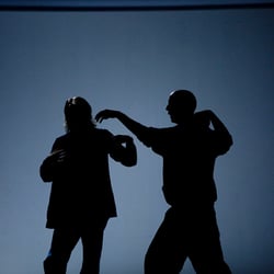 Bu Ting Xi Kung Fu Academy